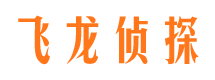 雷波侦探